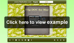 view_flip_doc_mac_example