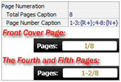 page numberation settings
