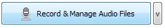 record_manage_audio_files_icon
