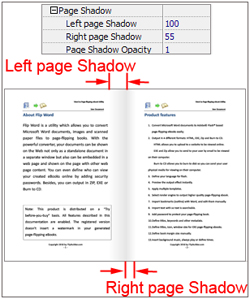 flip_word_set_page_shadow