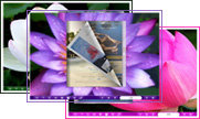 classical_lotus