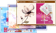 neat_delicate