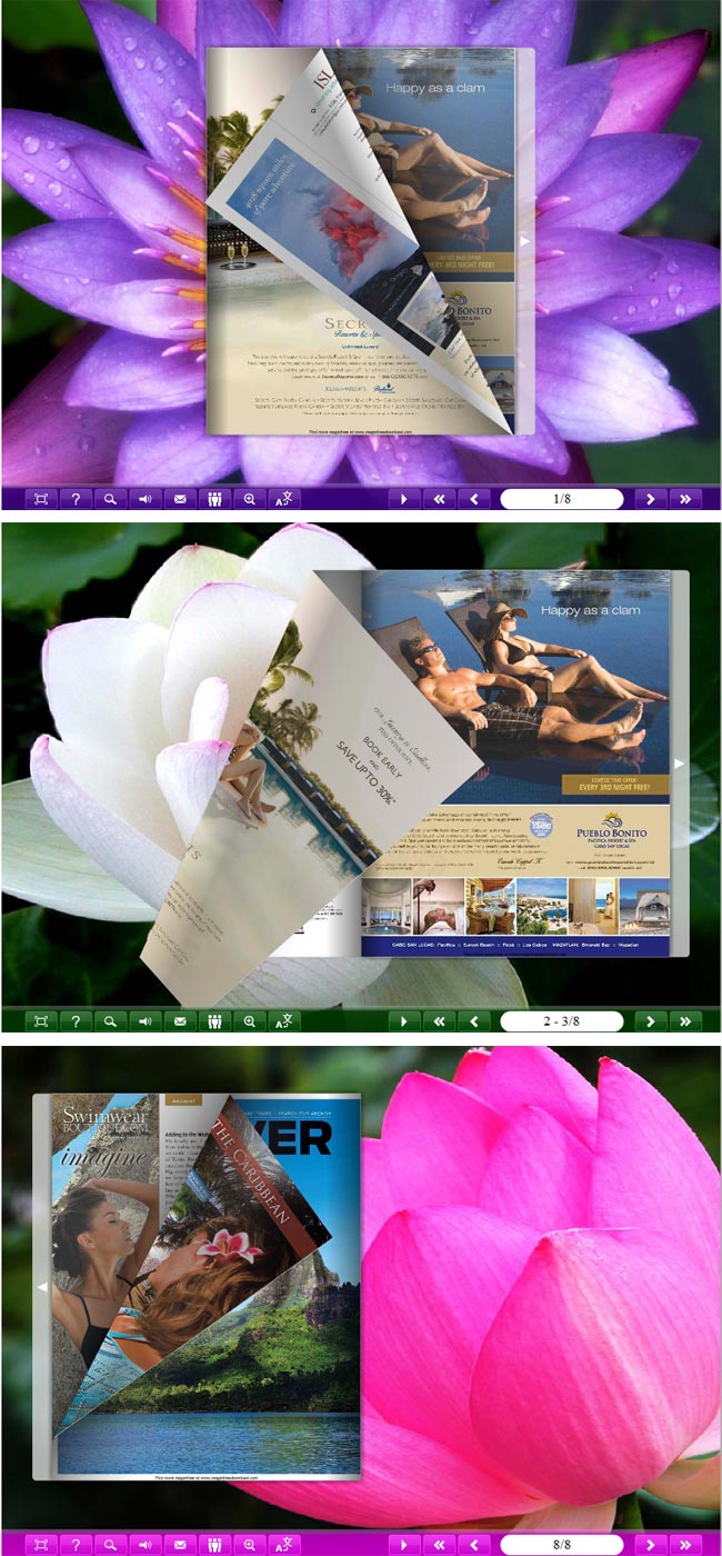 Windows 8 Flipbook_Themes_Package_Classical_Lotus full