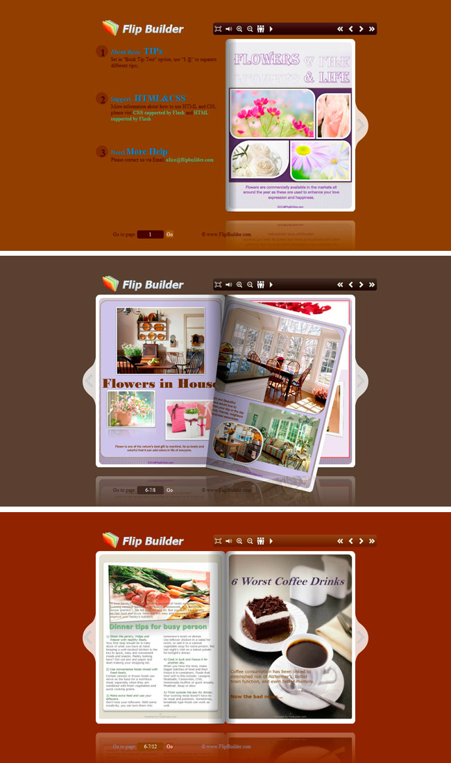 Flip_Themes_Package_Conciseness_Brown 1.0 full