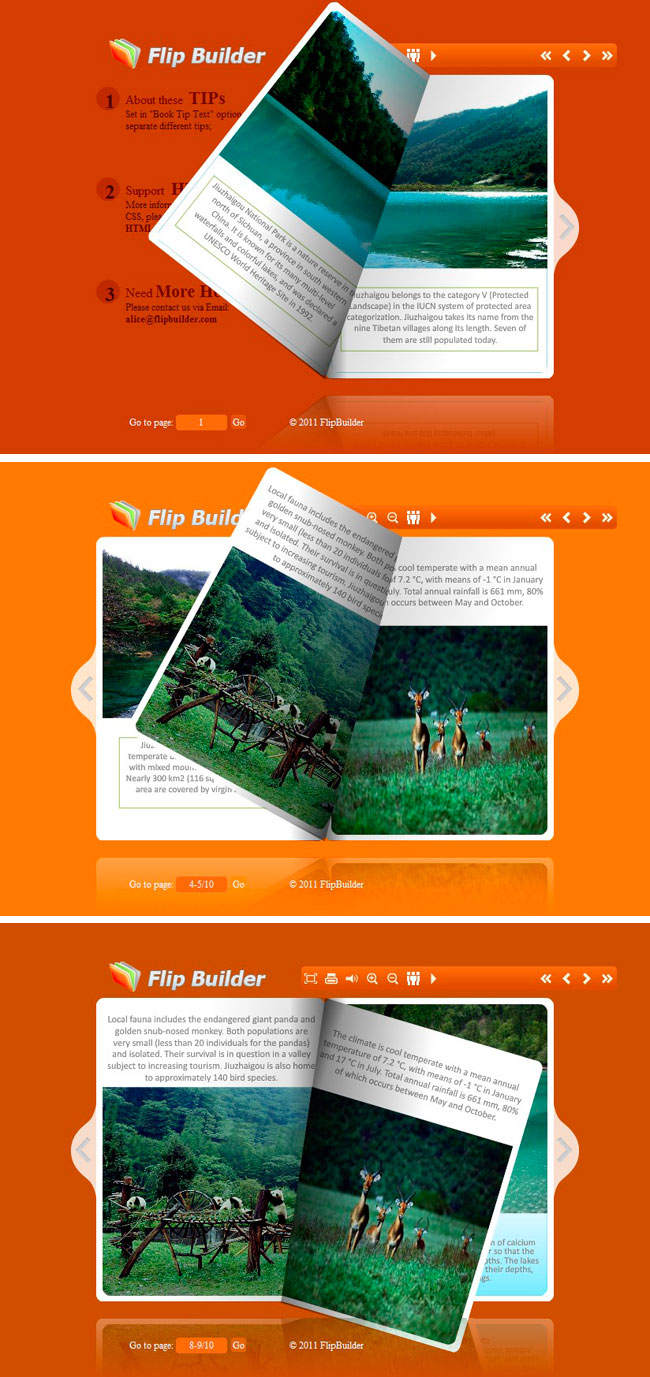 Flip_Themes_Package_Conciseness_Orange 1.0 full