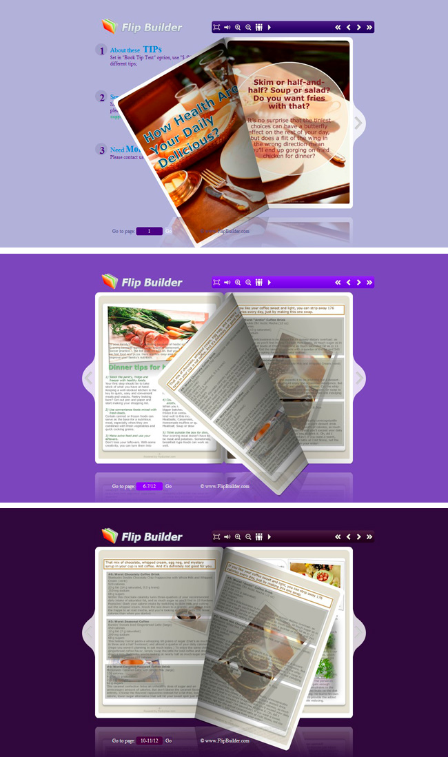 Flip_Themes_Package_Conciseness_Purple 1.0 full