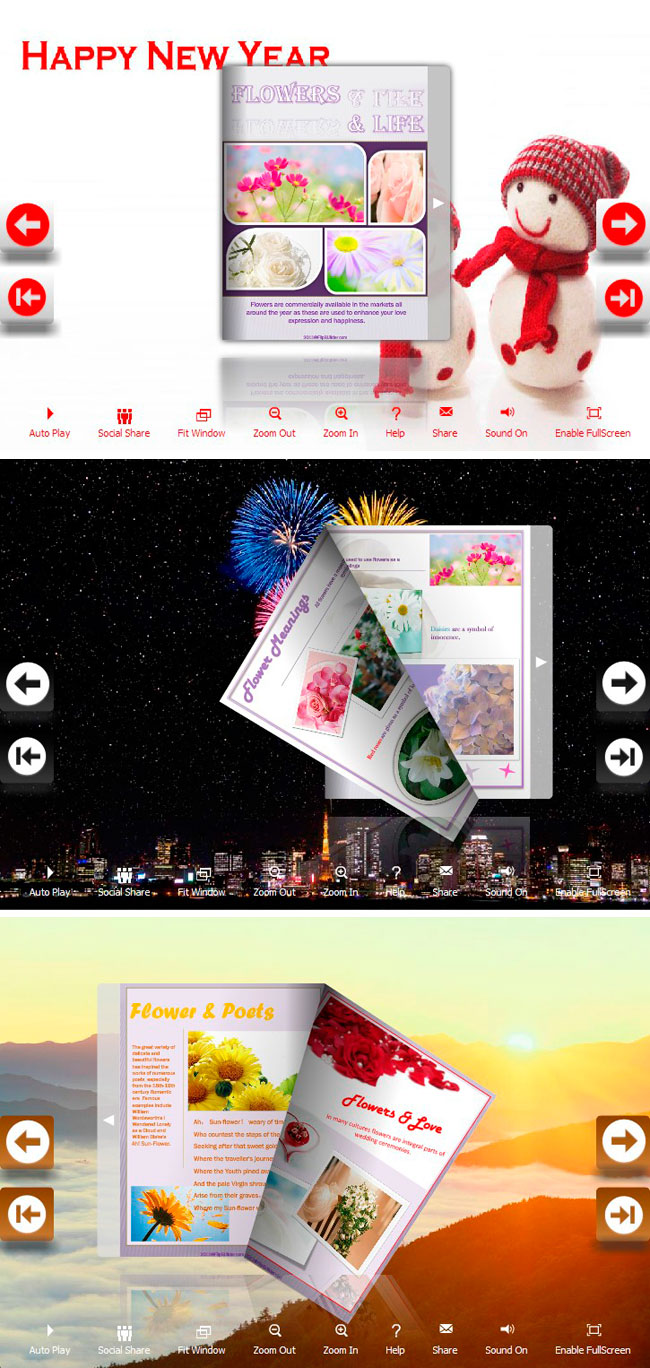 Flip_Themes_Package_Lively_New_Year 1.0 full