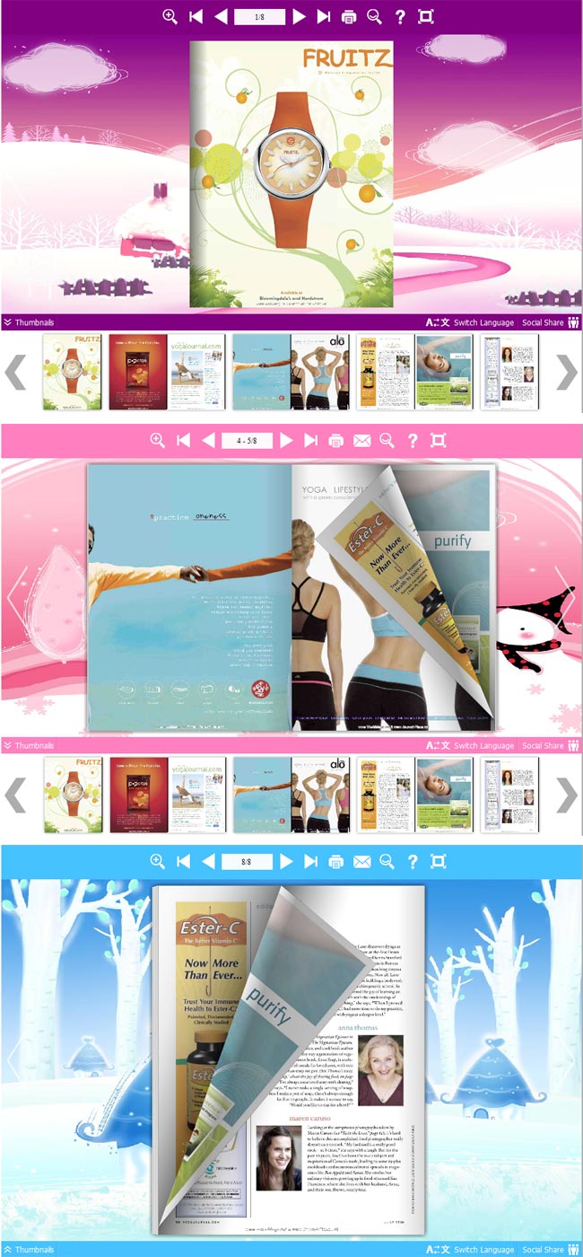 Flipbook_Themes_Package_Neat_Winter screenshot