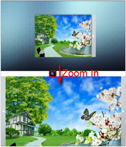 flip_image_zoom_in
