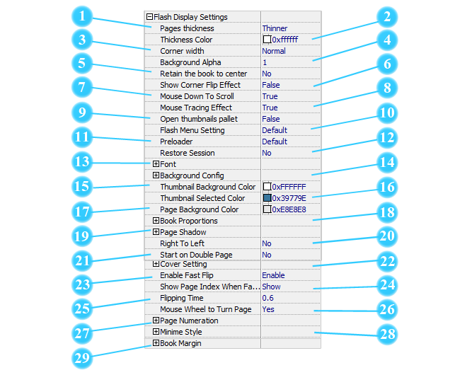 flash display settings