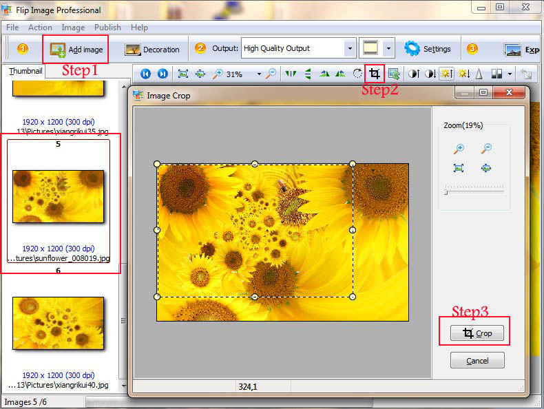 crop-images-with-flip-image-professional.jpg